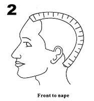 From forehead to nape of neck