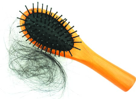 hairbrush with hair