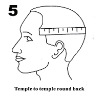 From temple to temple across the back of head